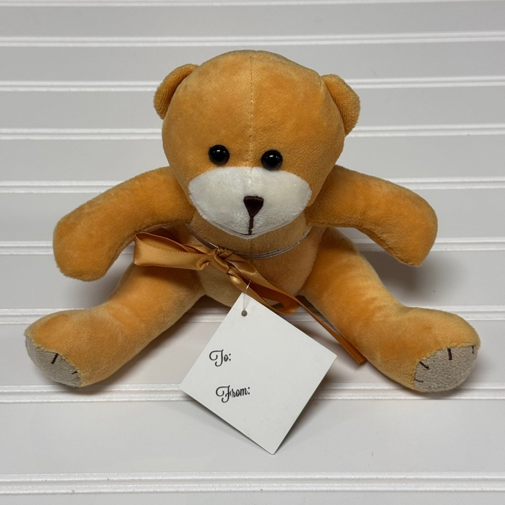 34 Project Teddy Bear Stuffed Animal Plush Soft Toy 2000